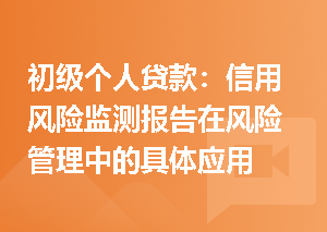 初级个人贷款：信用风险监测报告在风险管理中的具体应用