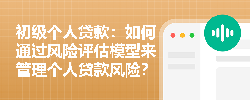 初级个人贷款：如何通过风险评估模型来管理个人贷款风险？