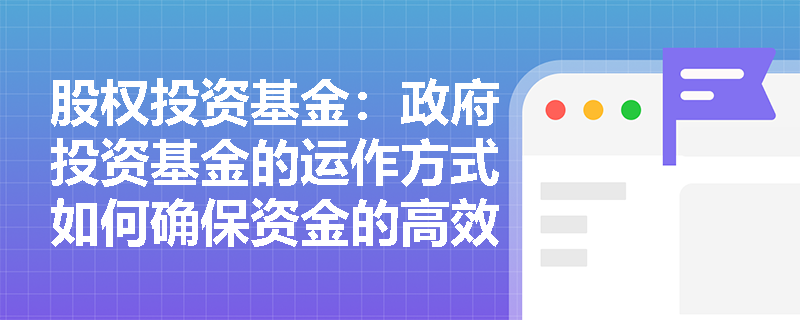 股权投资基金：政府投资基金的运作方式如何确保资金的高效使用？