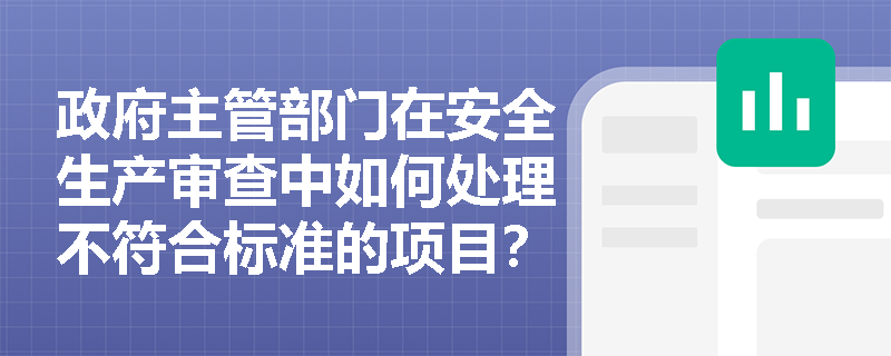 政府主管部门在安全生产审查中如何处理不符合标准的项目？