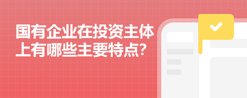 国有企业在投资主体上有哪些主要特点？