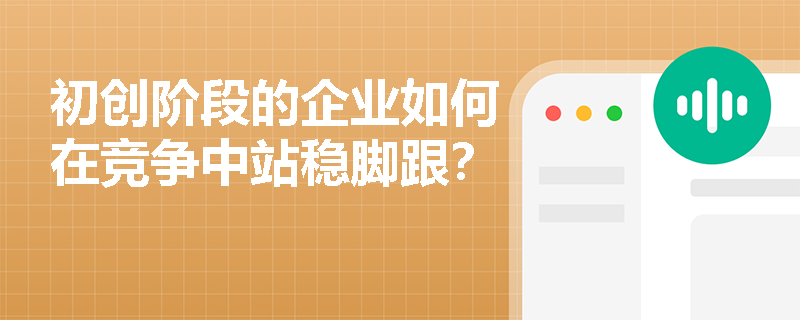 初创阶段的企业如何在竞争中站稳脚跟？
