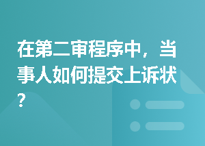 在第二审程序中，当事人如何提交上诉状？