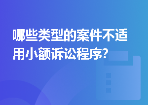 哪些类型的案件不适用小额诉讼程序？