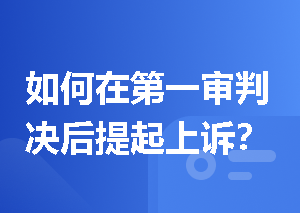 如何在第一审判决后提起上诉？