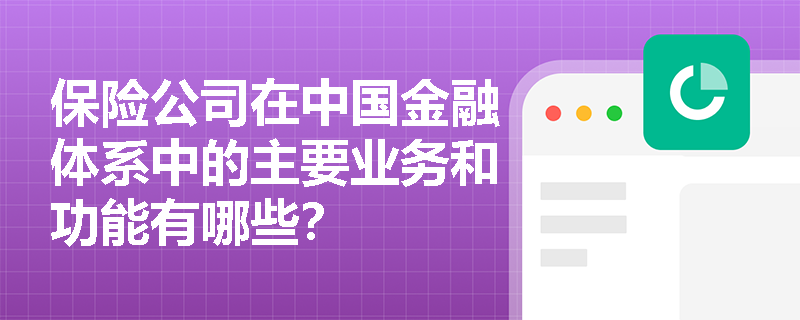 保险公司在中国金融体系中的主要业务和功能有哪些？
