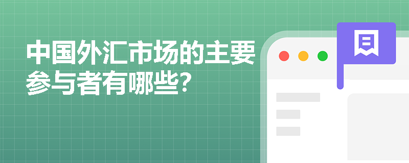 中国外汇市场的主要参与者有哪些？