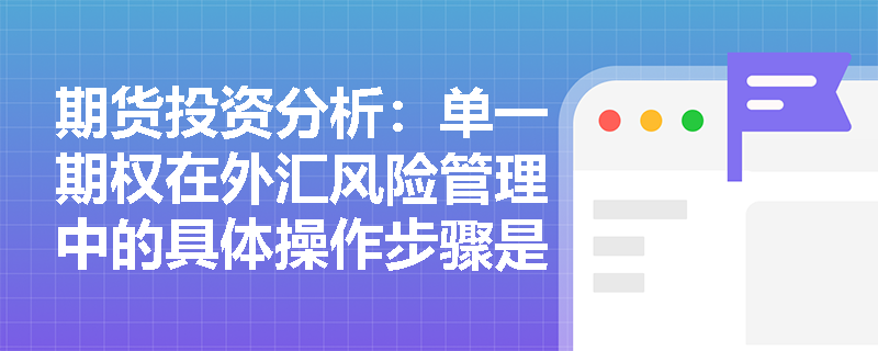 期货投资分析:单一期权在外汇风险管理中的具体操作步骤是什么? 期货投资分析:单一期权在外汇风险管理中的具体操作步骤是什么?