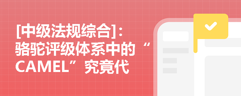 [中级法规综合]：骆驼评级体系中的“CAMEL”究竟代表哪些核心考核指标？