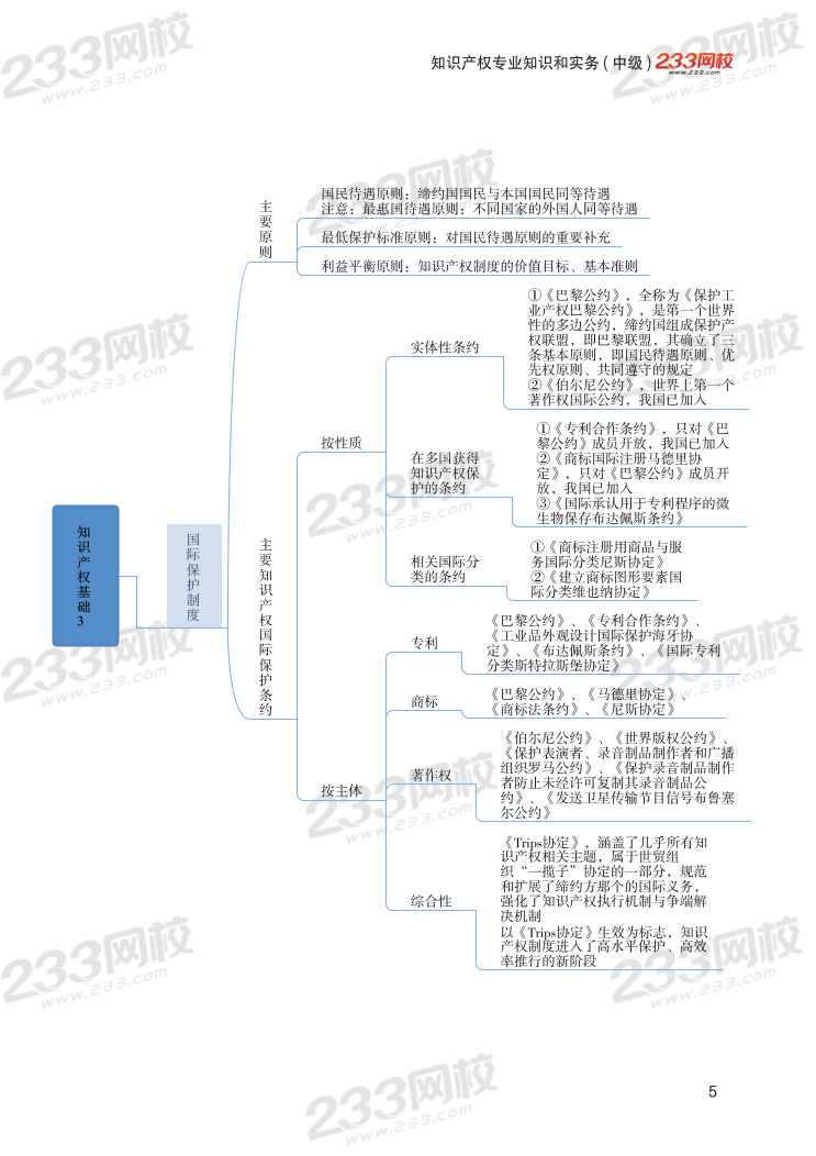 2023年中级经济师《知识产权》思维导图.pdf-图片5